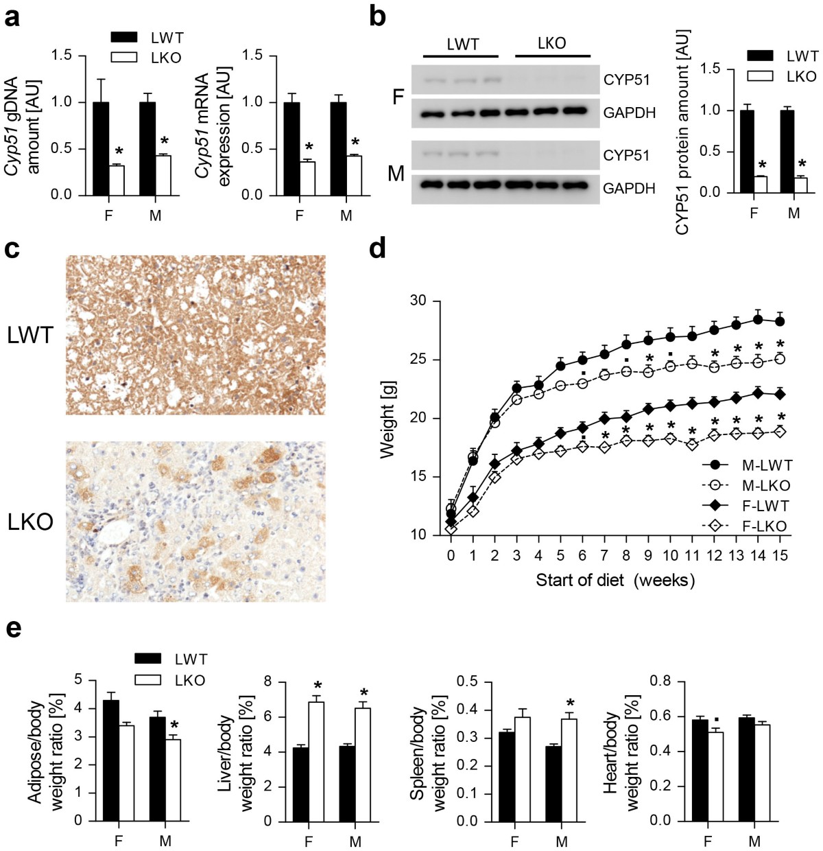Lessons from Hepatocyte-Specific Cyp51 Knockout Mice: Impaired Cholesterol  Synthesis Leads to Oval Cell-Driven Liver Injury | Scientific Reports