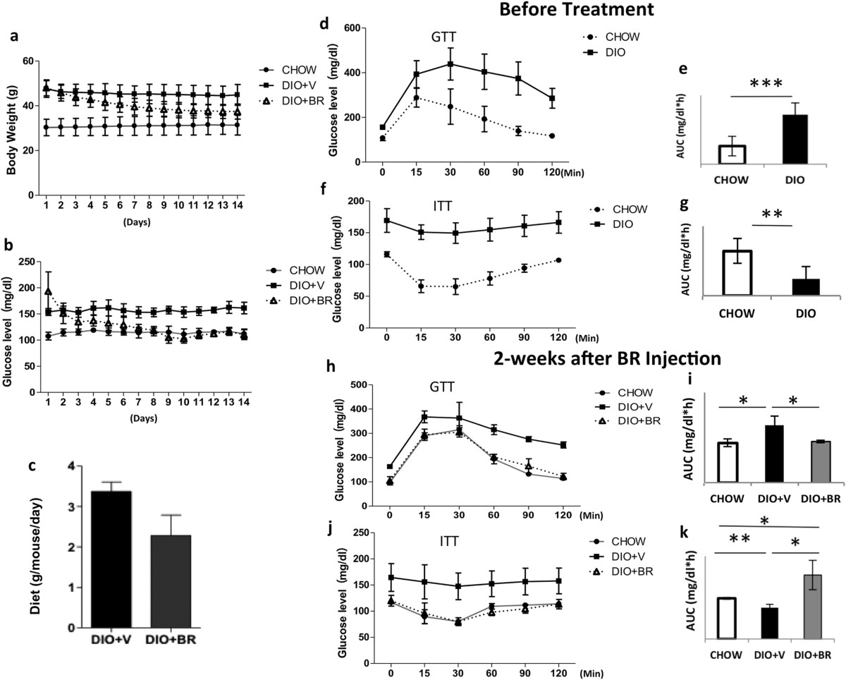 semaglutide and high bilirubin Bilirubin Increases Insulin Sensitivity by Regulating Cholesterol  Metabolism, Adipokines and PPARγ Levels