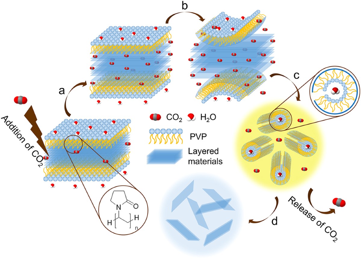 High-efficiency exfoliation of layered materials into 2D nanosheets in  switchable CO2/Surfactant/H2O system | Scientific Reports