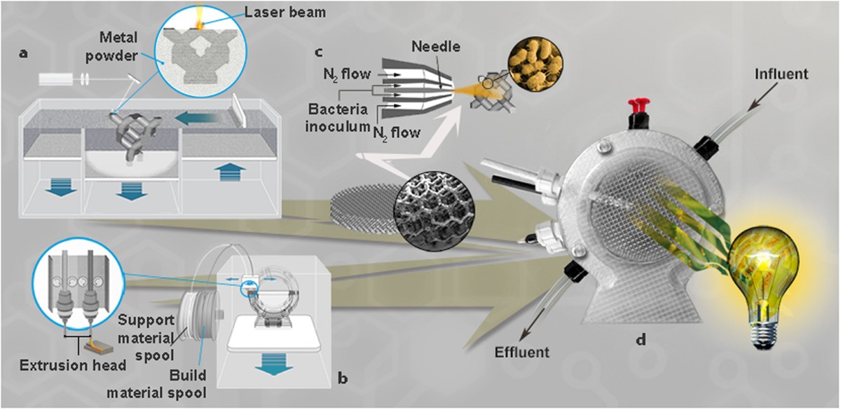 Additive Manufacturing of a Microbial Fuel Cell—A detailed study