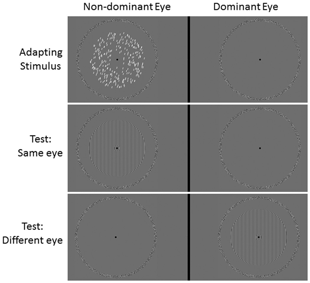 Tilt aftereffect following adaptation to translational Glass patterns |  Scientific Reports