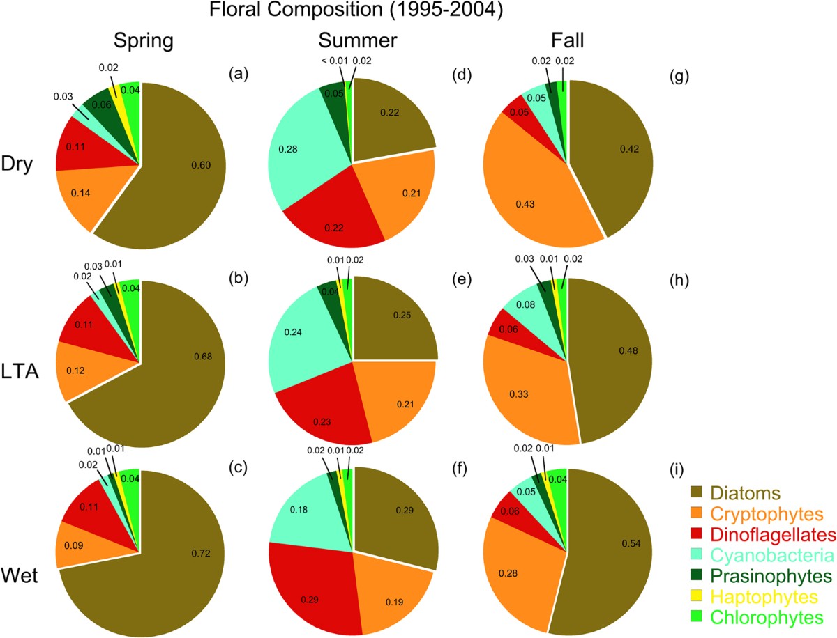 Variable climatic conditions dominate recent phytoplankton dynamics in  Chesapeake Bay | Scientific Reports