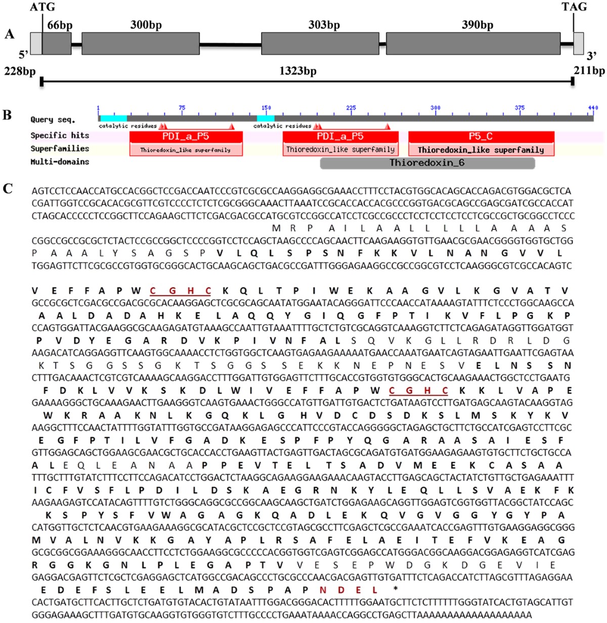 A disulphide isomerase gene (PDI-V) from Haynaldia villosa contributes to  powdery mildew resistance in common wheat | Scientific Reports