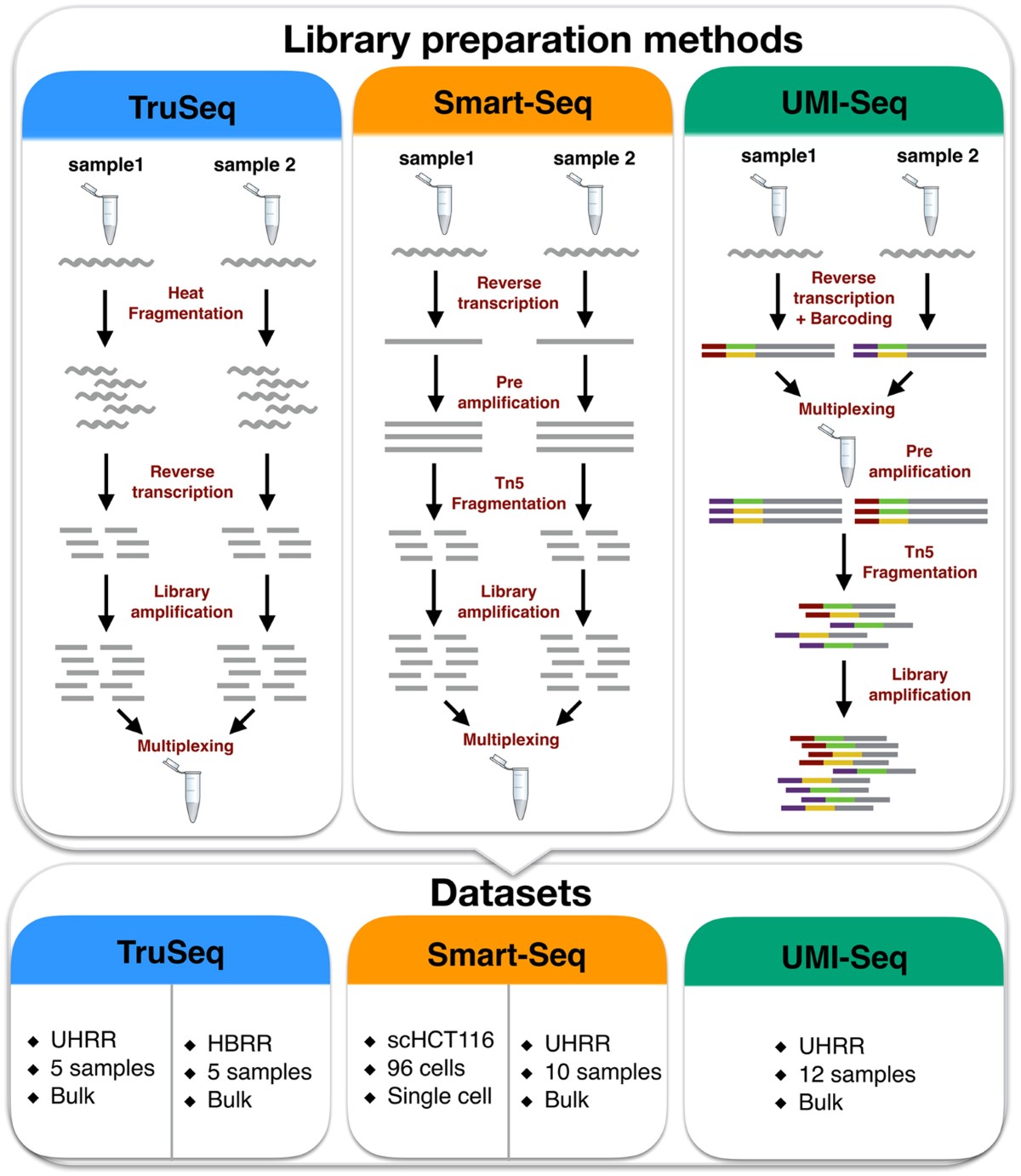 The impact of amplification on differential expression analyses by 