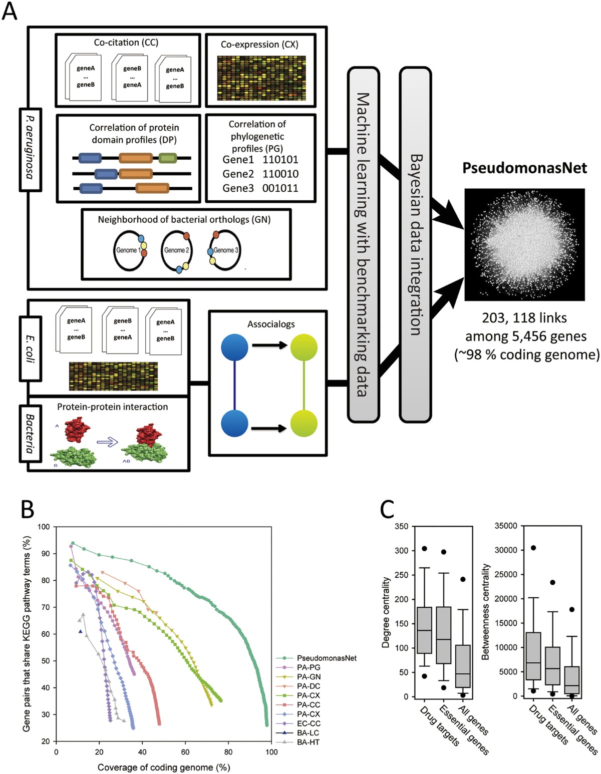 Network-assisted investigation of virulence and antibiotic-resistance systems in Pseudomonas aeruginosa | Scientific Reports network-assisted-investigation-of-virulence-and-antibiotic-resistance-systems-in-pseudomonas-aeruginosa-scientific-reports