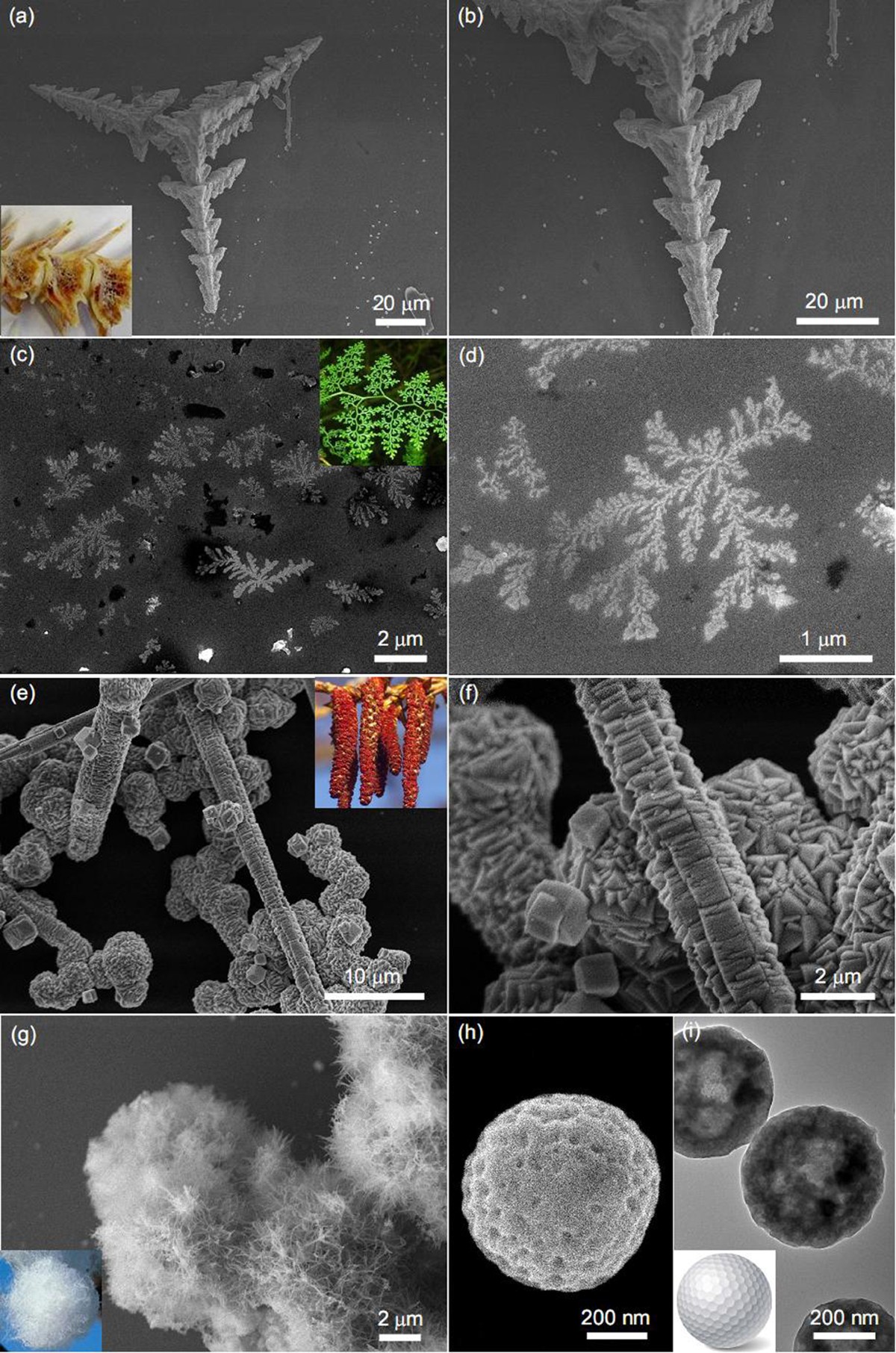 Assembling non-ferromagnetic materials to ferromagnetic architectures using  metal-semiconductor interfaces | Scientific Reports