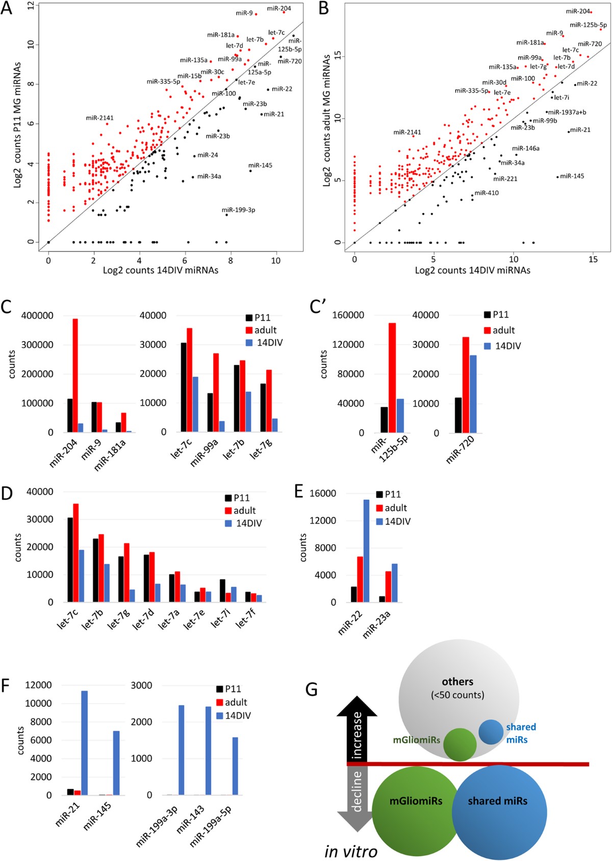 The microRNA expression profile of mouse Müller glia in vivo and in vitro |  Scientific Reports