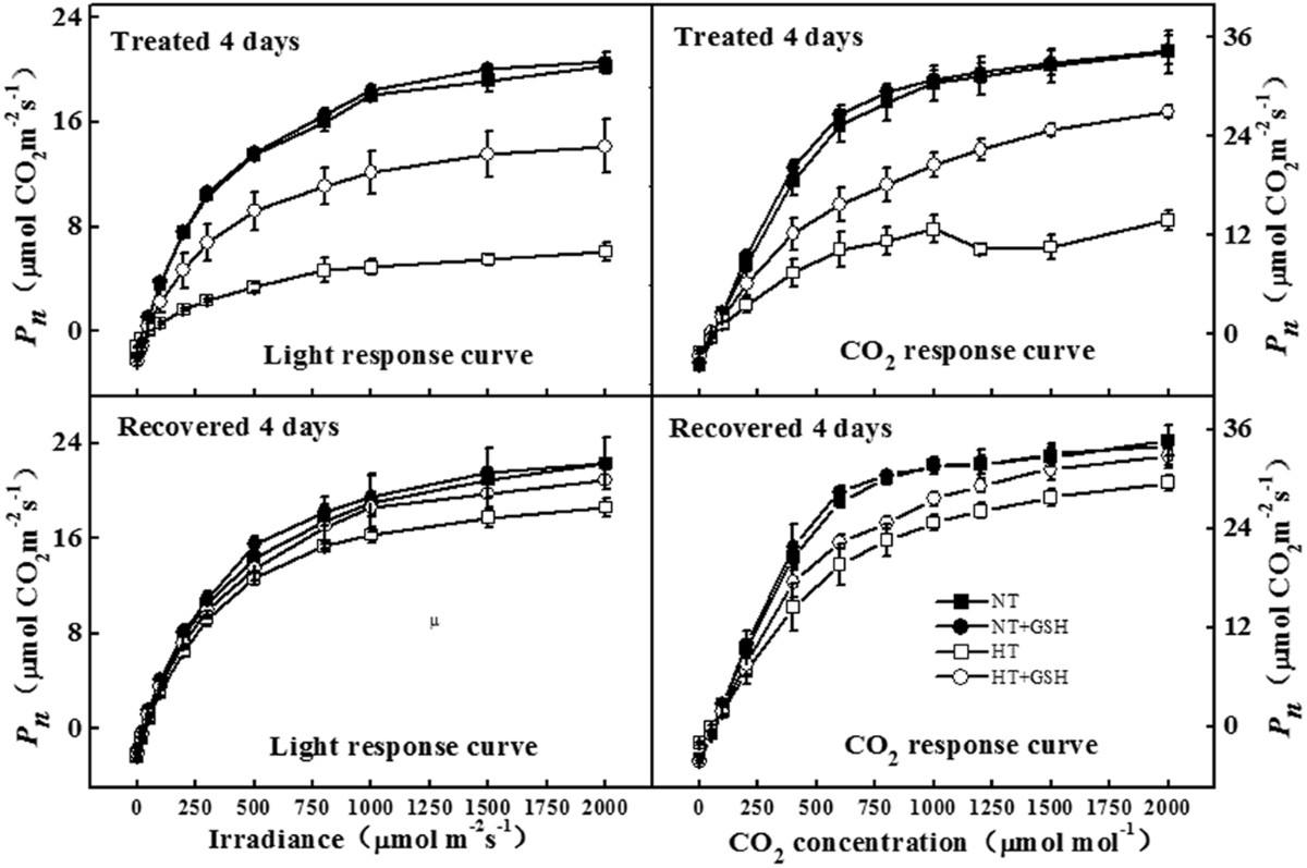 exogenous glutathione Enhanced sulforaphane accumulation in fresh-cut broccoli via glutathione-mediated modulation of the AsA-GSH cycle Exogenous glutathione improves high root-zone