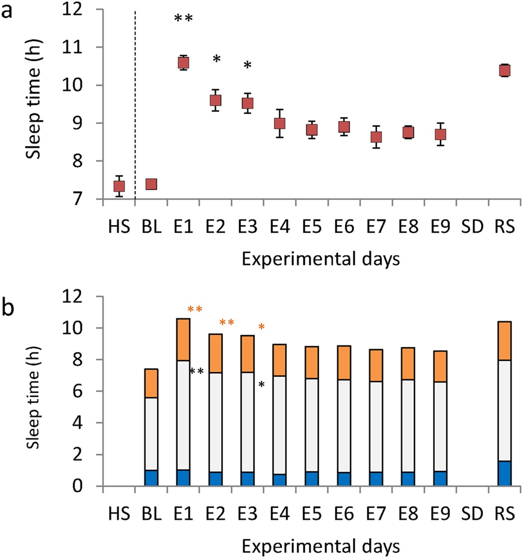 How Sleep Debt Shows Up in Sleep Data: Uncover Hidden Patterns