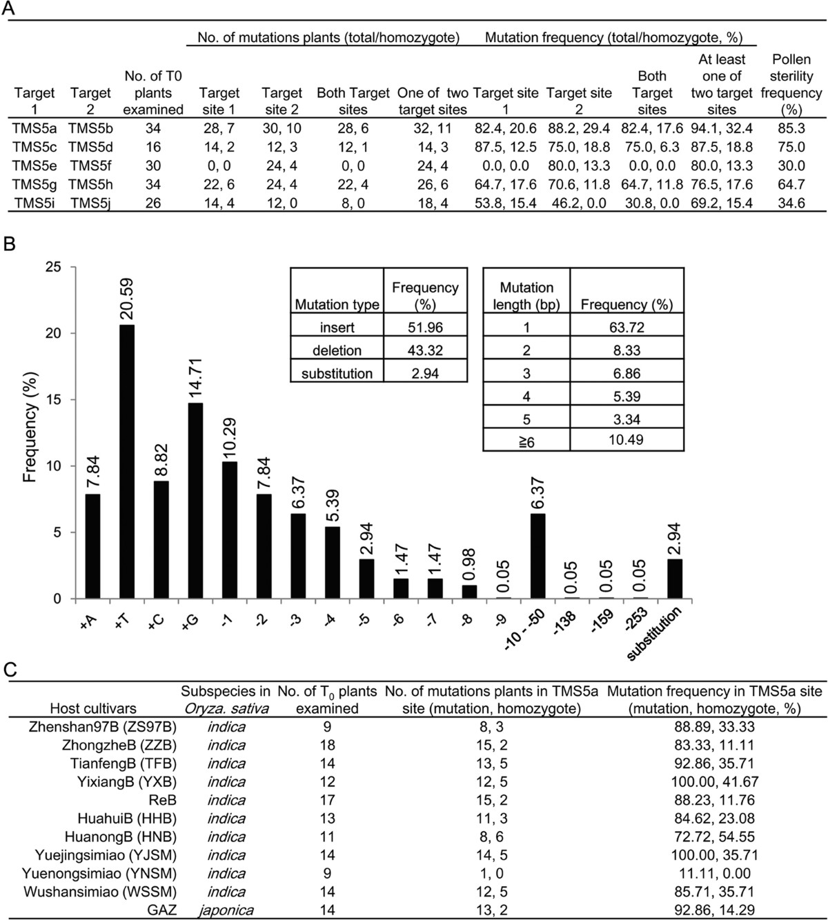 Development of Commercial Thermo-sensitive Genic Male Sterile Rice  Accelerates Hybrid Rice Breeding Using the CRISPR/Cas9-mediated TMS5  Editing System | Scientific Reports