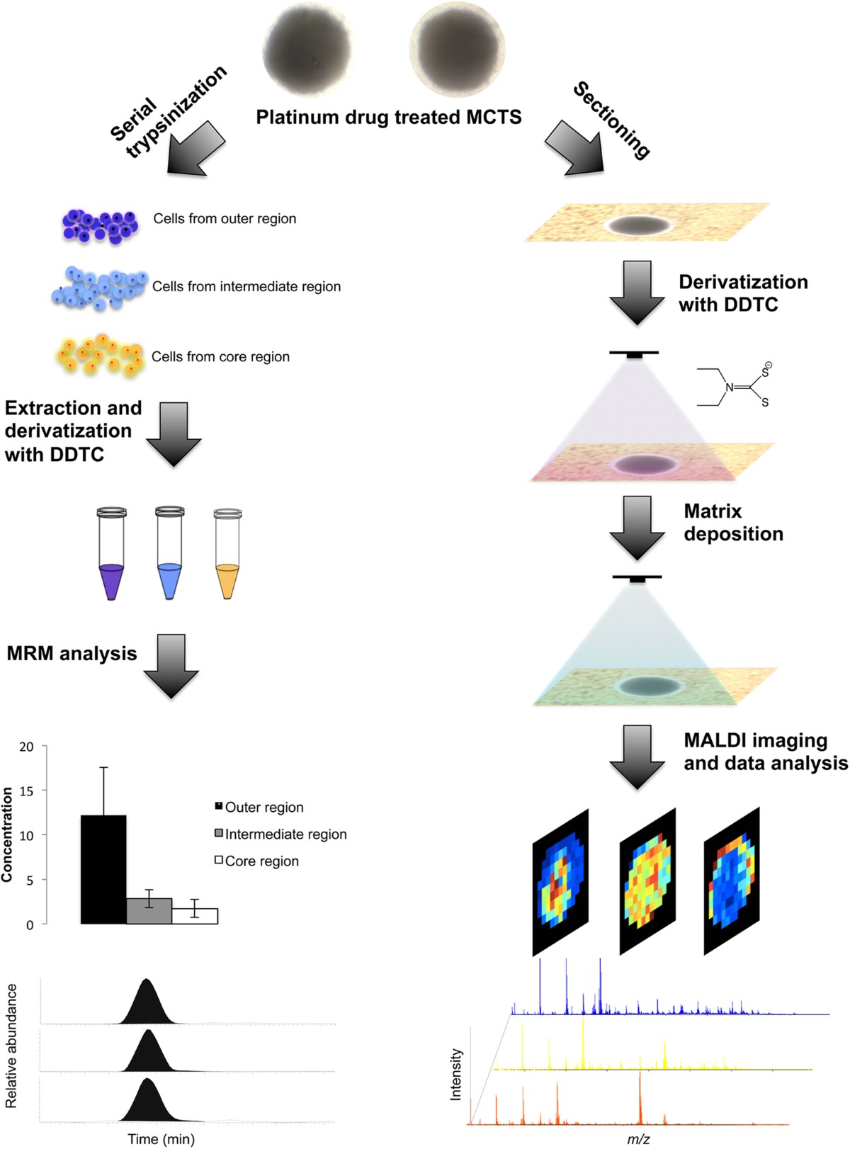glutathione increase after treating with platinum drugs Chemical Imaging of Platinum-Based and their Metabolites Role of Glutathione in Cancer: