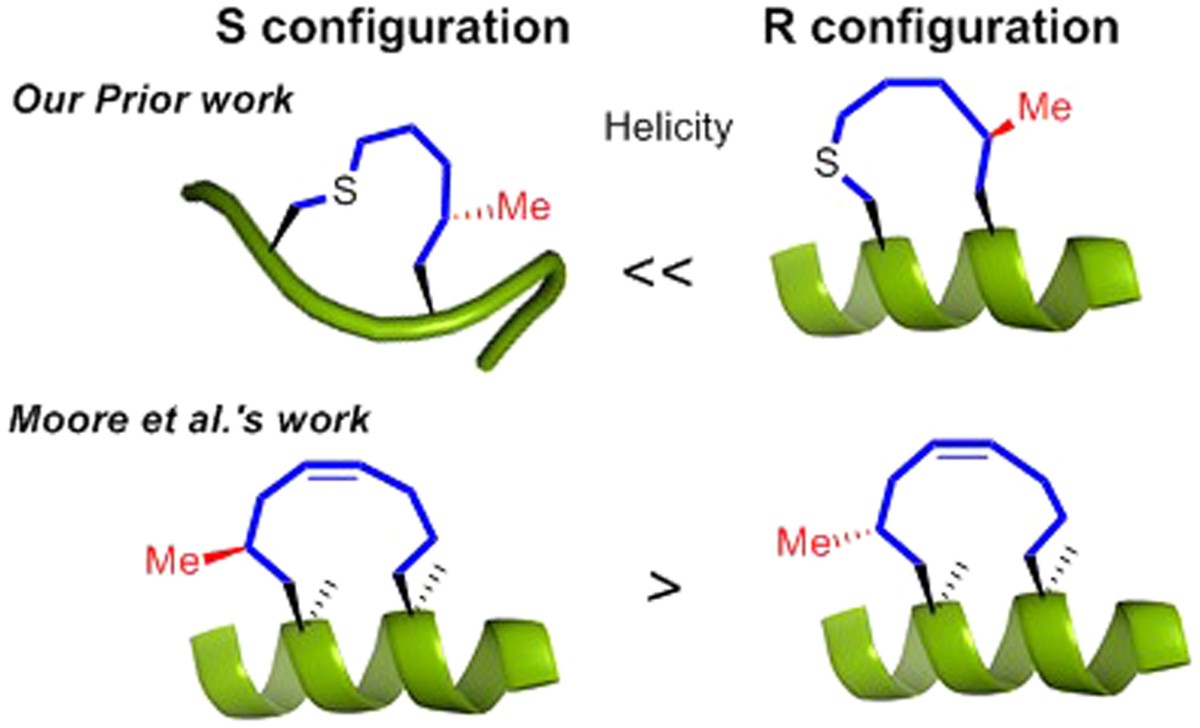 Chiral Sulfoxide-Induced Single Turn Peptide α-Helicity | Scientific Reports