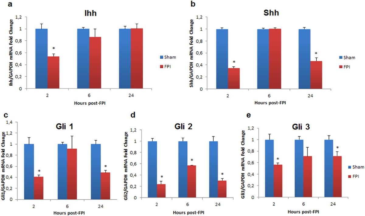 Hepatic alterations are accompanied by changes to bile acid  transporter-expressing neurons in the hypothalamus after traumatic brain  injury | Scientific Reports