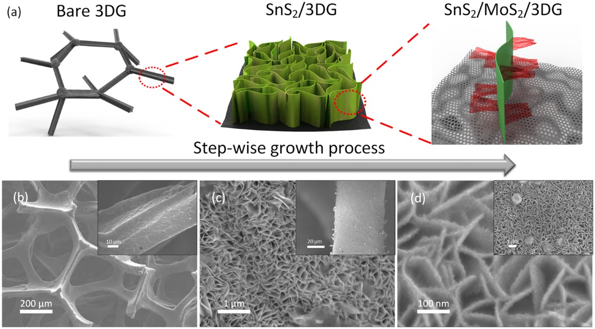 Unlocking the potential of SnS2: Transition metal catalyzed utilization of  reversible conversion and alloying reactions | Scientific Reports