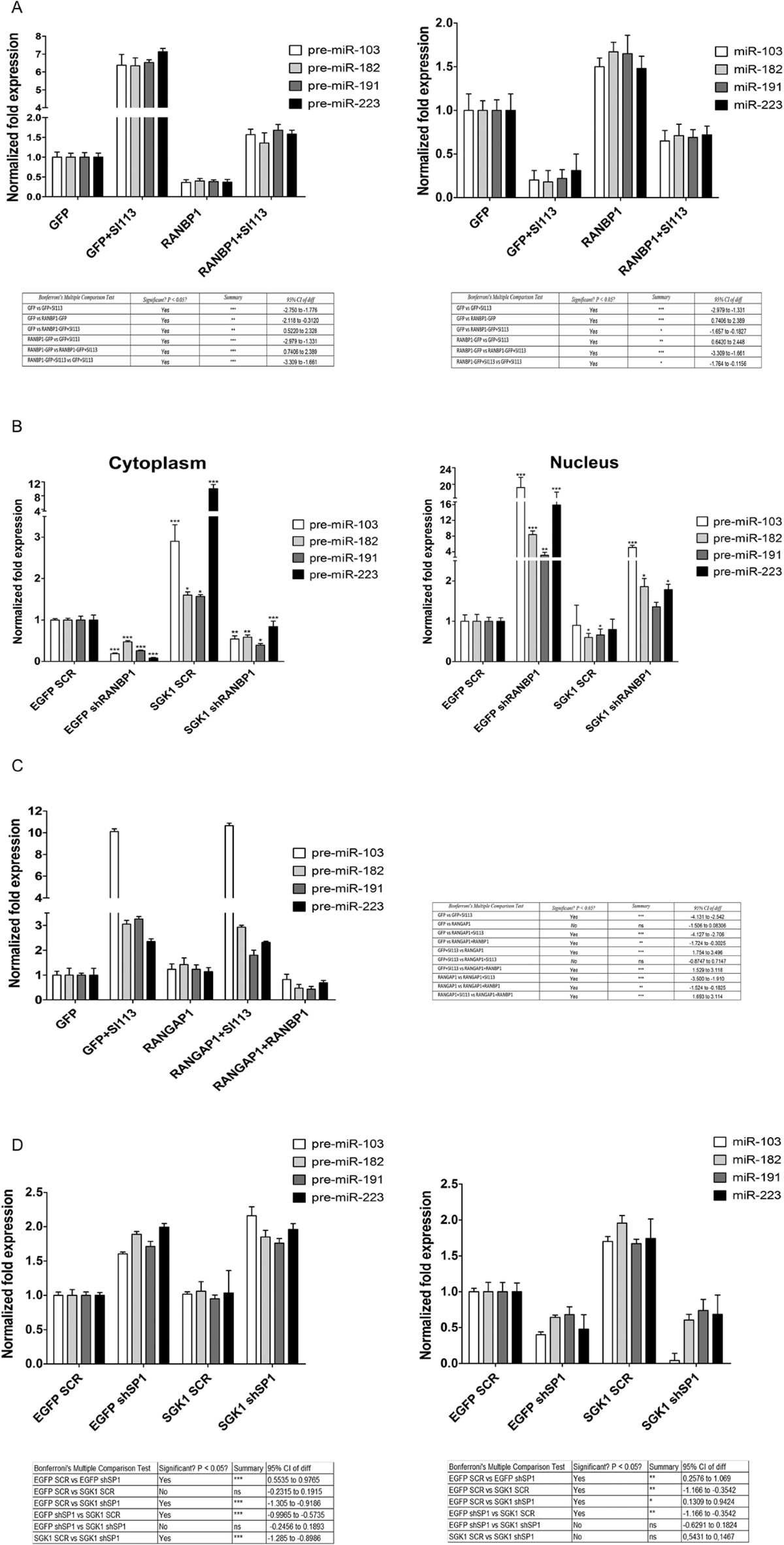 SGK1 affects RAN/RANBP1/RANGAP1 via SP1 to play a critical role in  pre-miRNA nuclear export: a new route of epigenomic regulation | Scientific  Reports, image size:1200x2363