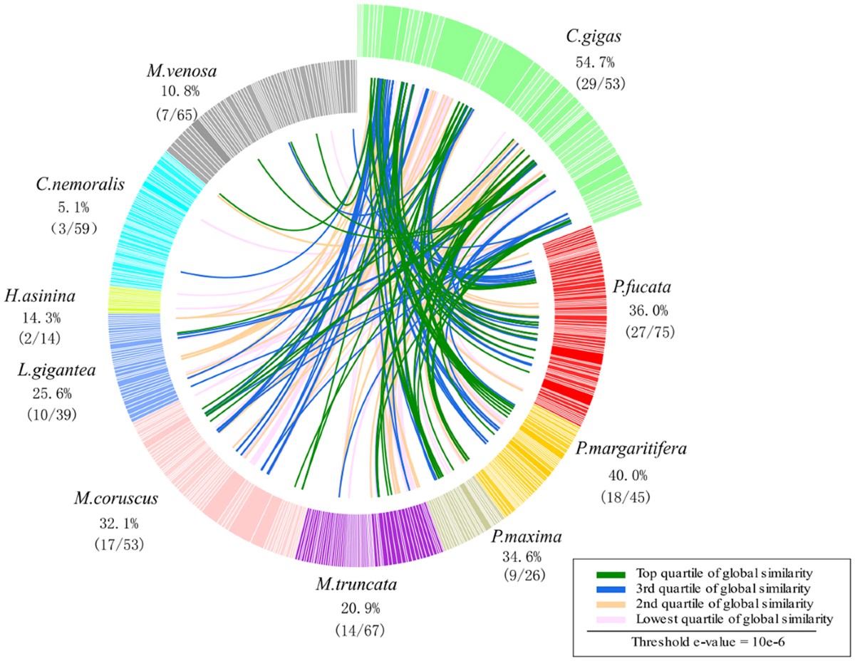 Creative Converting 329356 Carousel Horses 10-countメタリックラウンドバルーン並行輸入
