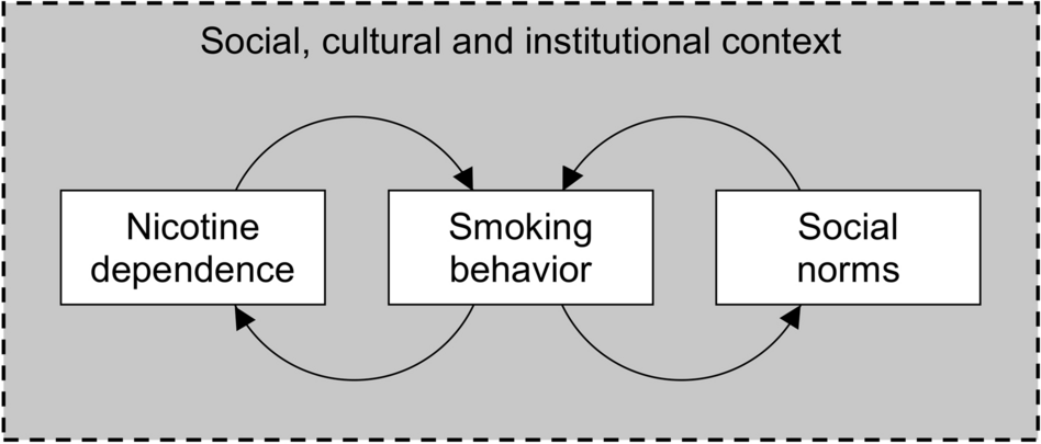 social consequences of tobacco The social gradient in smoking: individual behaviour, norms and nicotine  dependence in the later stages of the cigarette epidemic | Social Theory &  Health