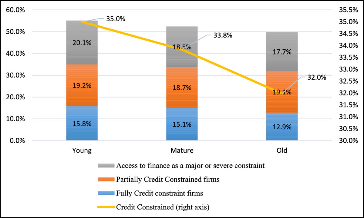 Resource Misallocation and Financial Access Constraints: Evidence from  Developing Countries | Comparative Economic Studies | Springer Nature Link