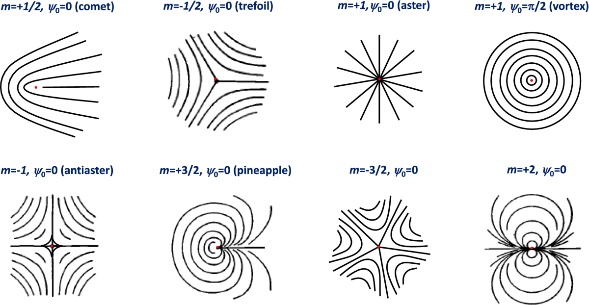 Introduction to topological defects: from liquid crystals to ...