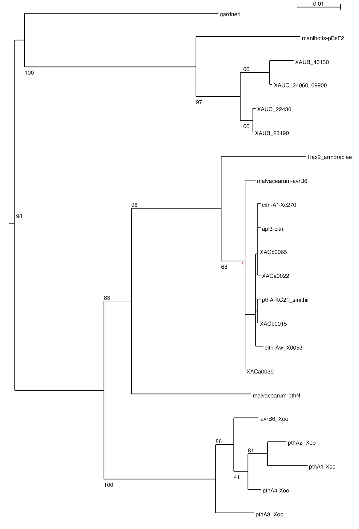 ls-island pthc Novel insights into the genomic basis of citrus canker based on the genome  sequences of two strains of Xanthomonas fuscans subsp. aurantifolii | BMC  Genomics | Full Text