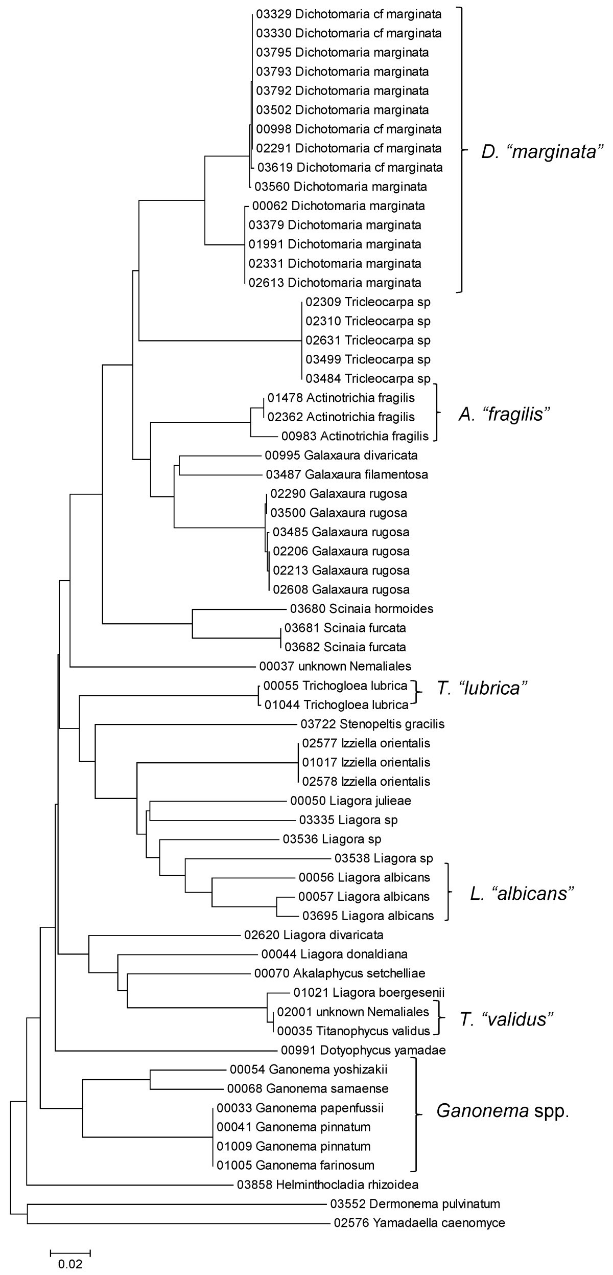 The Hawaiian Rhodophyta Biodiversity Survey (2006-2010): a summary of  principal findings | BMC Plant Biology