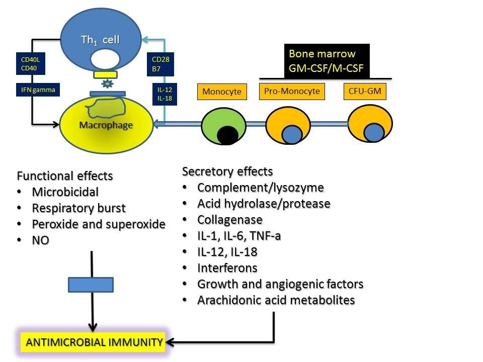 is glutathione portion my body Glutathione as a skin whitening agent: Facts, myths, evidence and  controversies