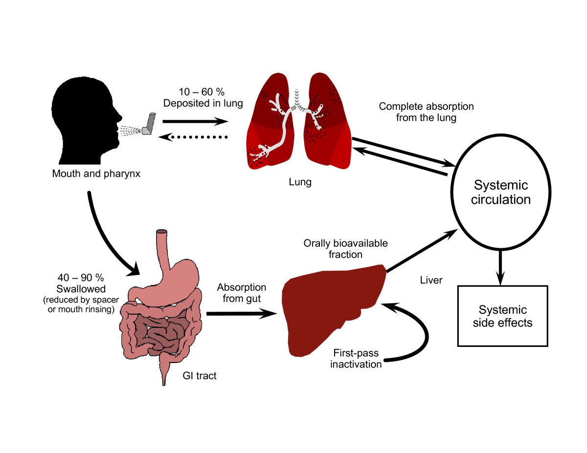 ipamorelin effects on cortisol Adrenal suppression: A practical guide to the screening and management of this under-recognized complication of inhaled corticosteroid therapy | Allergy, Asthma & Clinical Immunology Empirical Labs Liposomal Vitamin Weight:30ml سيروم حماية من الشمس جلوتاثيون