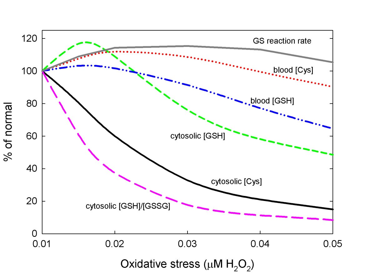 A mathematical model of glutathione metabolism | Theoretical Biology and  Medical Modelling | Springer Nature Link