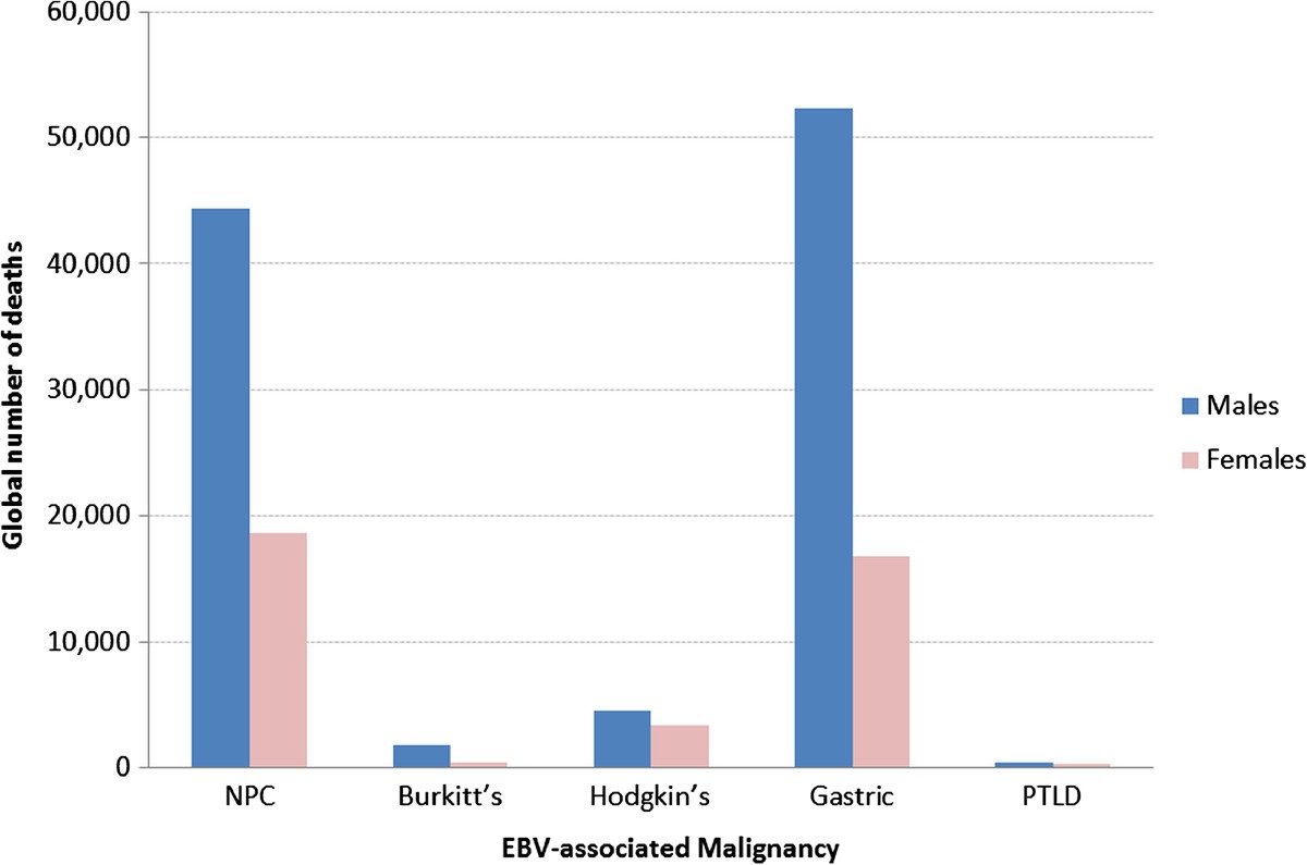 Global burden of deaths from Epstein-Barr virus attributable malignancies  1990-2010 | Infectious Agents and Cancer, image size:1200x795
