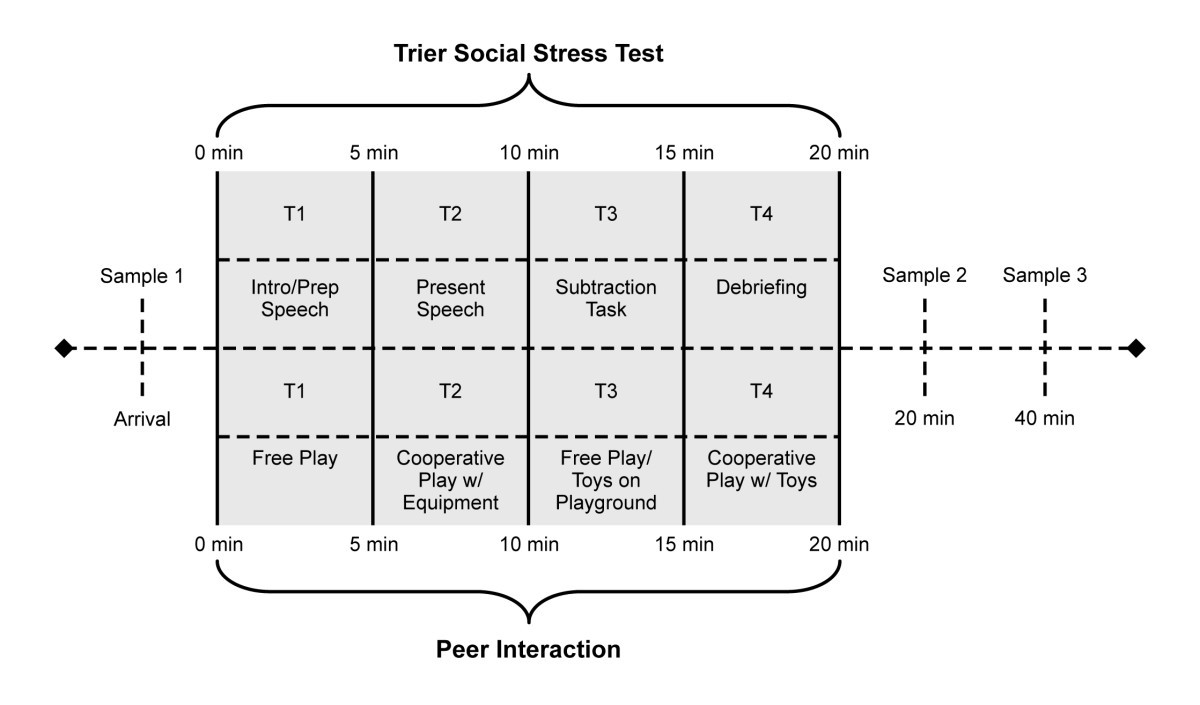 Comparing biobehavioral profiles across two social stress paradigms in  children with and without autism spectrum disorders | Molecular Autism |  Springer Nature Link