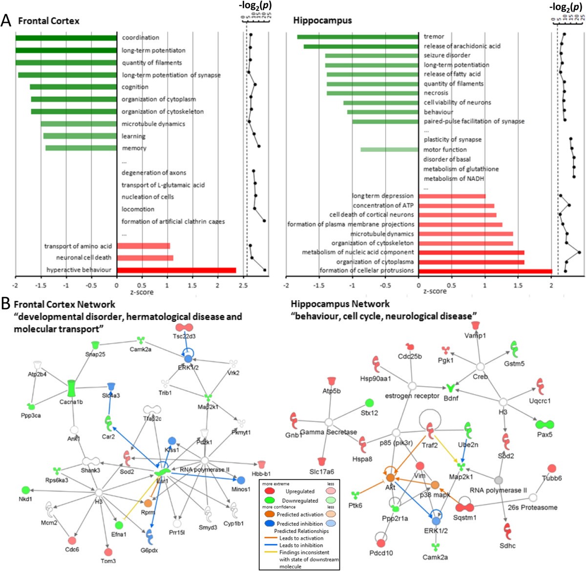 Integrative proteomic analysis of the NMDA NR1 knockdown mouse model  reveals effects on central and peripheral pathways associated with  schizophrenia and autism spectrum disorders | Molecular Autism