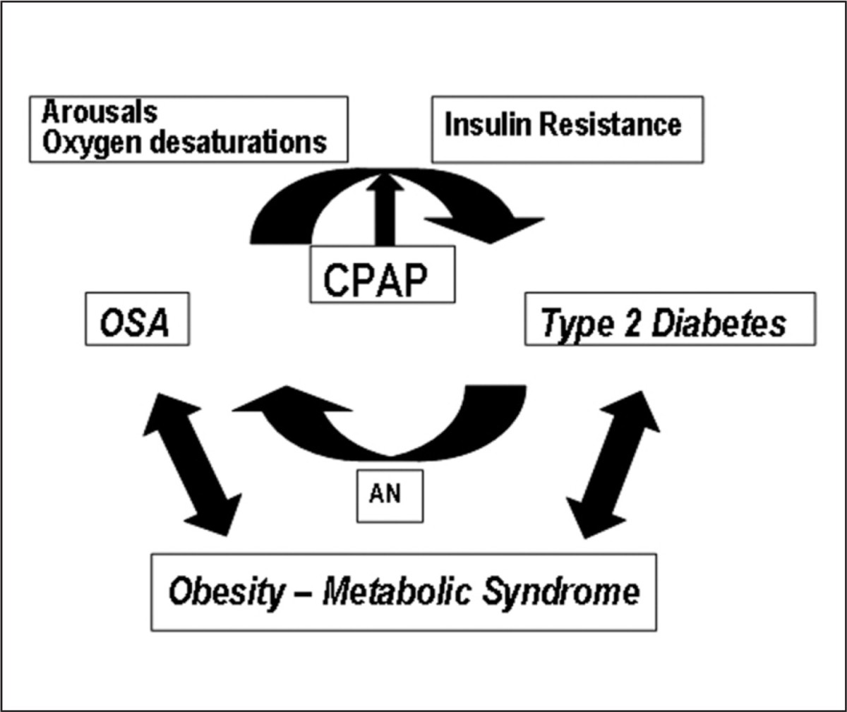 Obstructive sleep apnea and type 20 diabetes   European Journal of ...