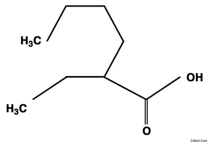 l carnitine benefits for gym What Is CoQ10 and L-Carnitine, and How Can It Change Your Life?