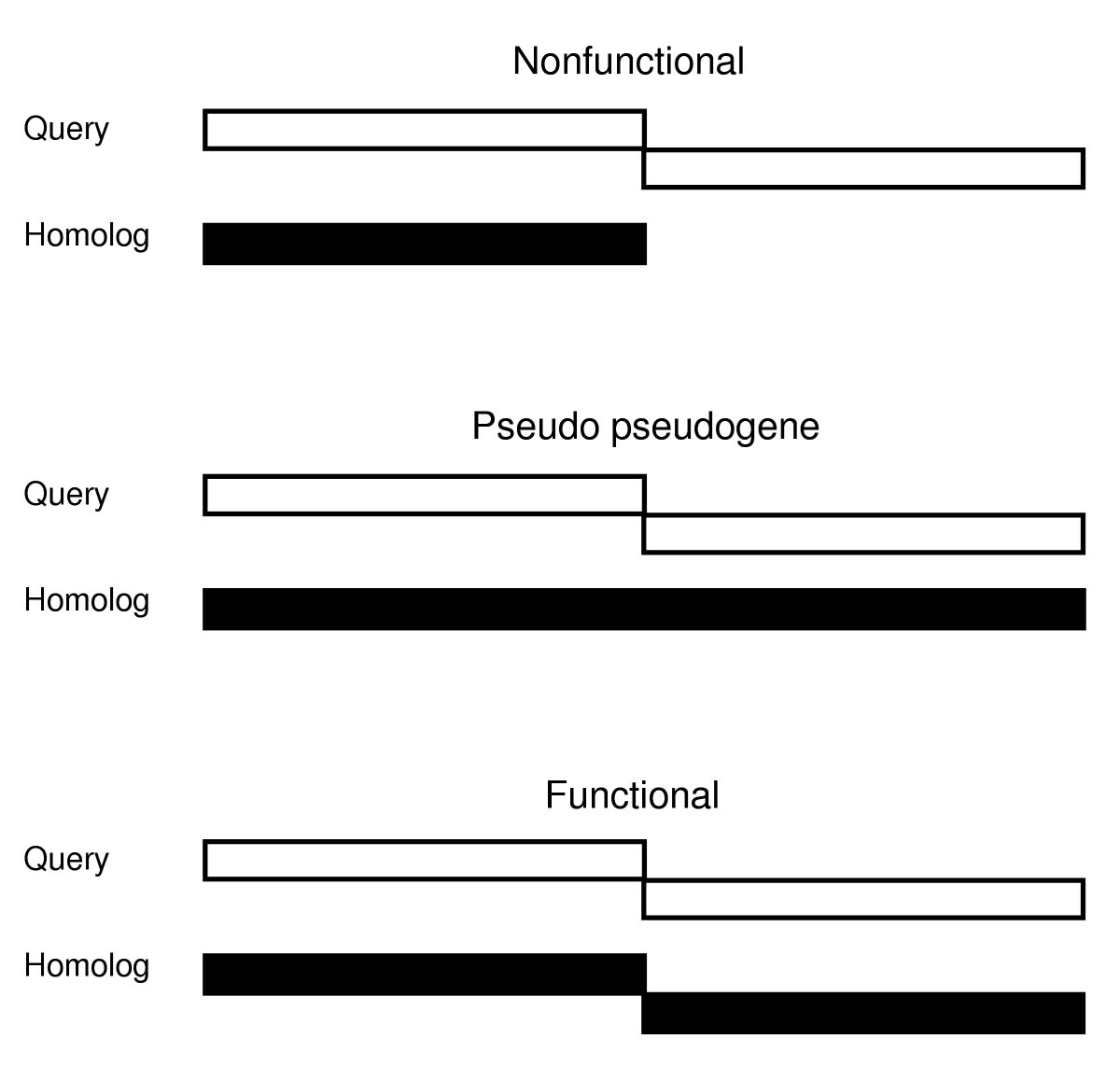 Transcriptional slippage in bacteria: distribution in sequenced genomes and  utilization in IS element gene expression | Genome Biology | Springer  Nature Link