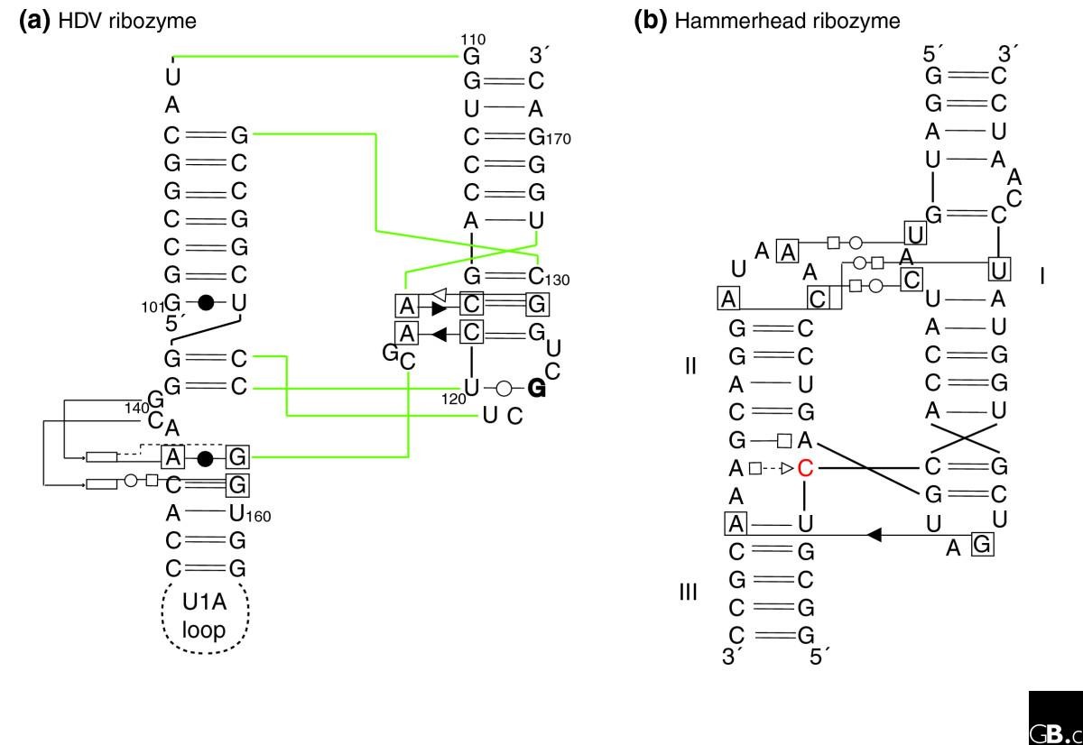 Searching genomes for ribozymes and riboswitches | Genome Biology |  Springer Nature Link