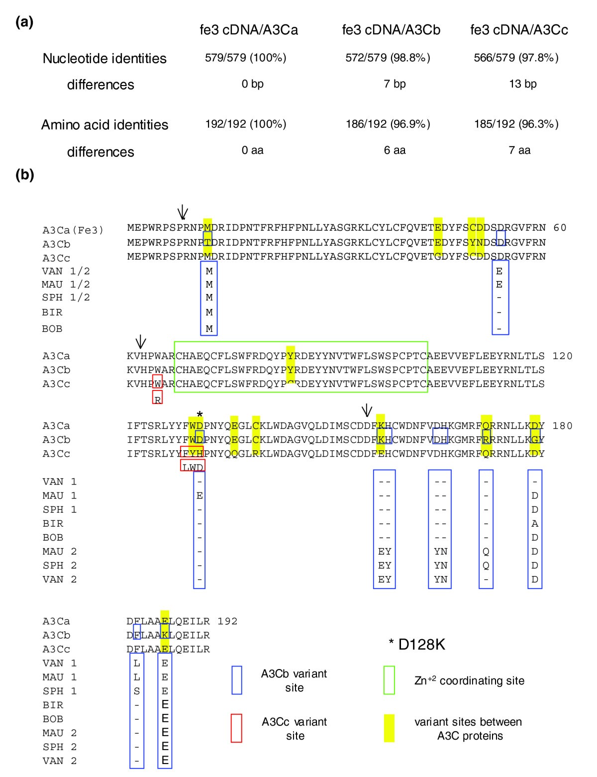 Functions, structure, and read-through alternative splicing of feline  APOBEC3 genes | Genome Biology
