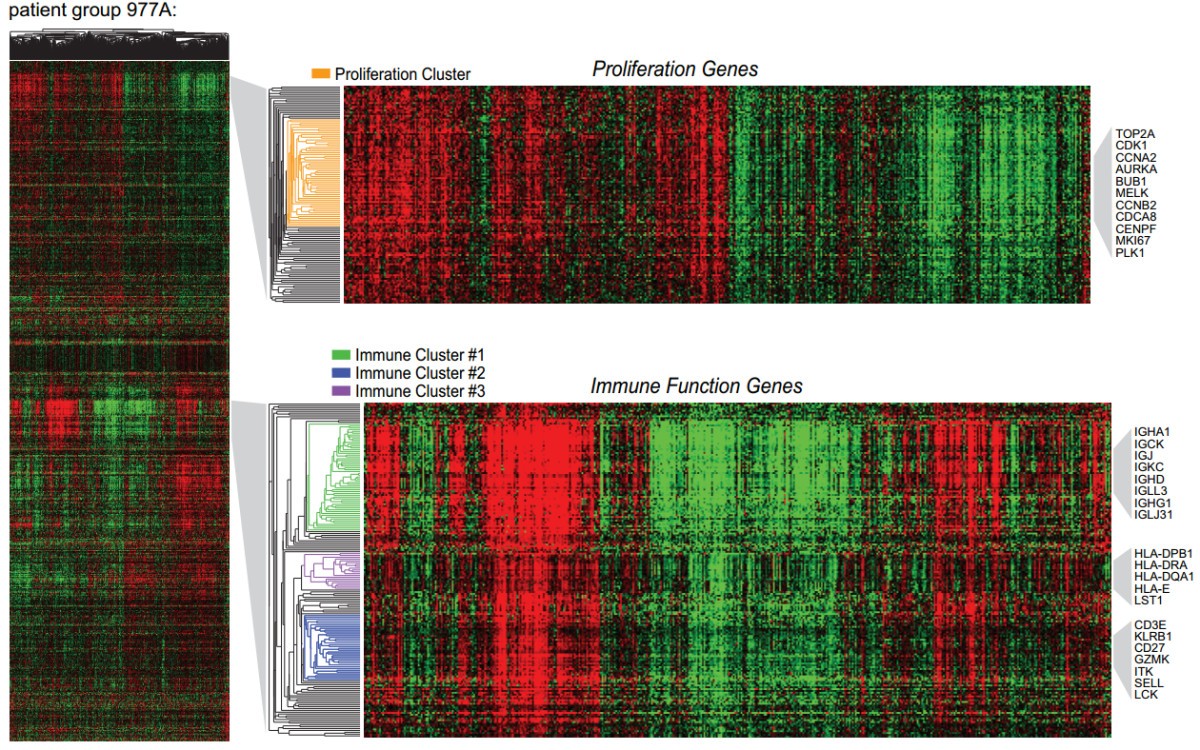 Interactions between immunity, proliferation and molecular subtype in  breast cancer prognosis | Genome Biology | Full Text