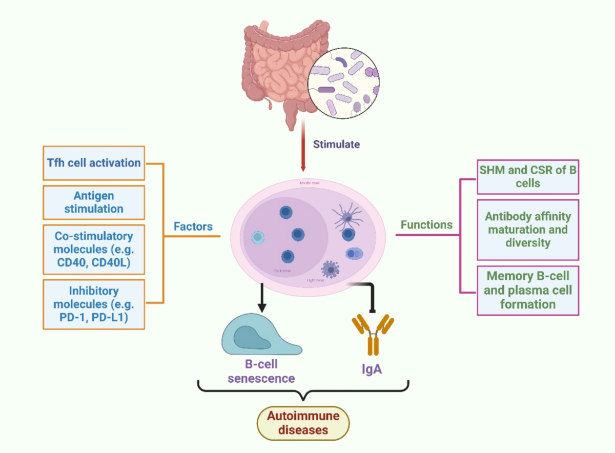 kojic acid glutathione vitamin c skin whitening products philippines Illuminate Your Skin with Gluta-C Kojic Plus Lotion