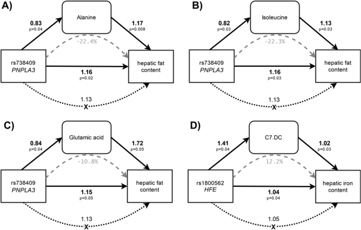 Unveiling metabolic pathways