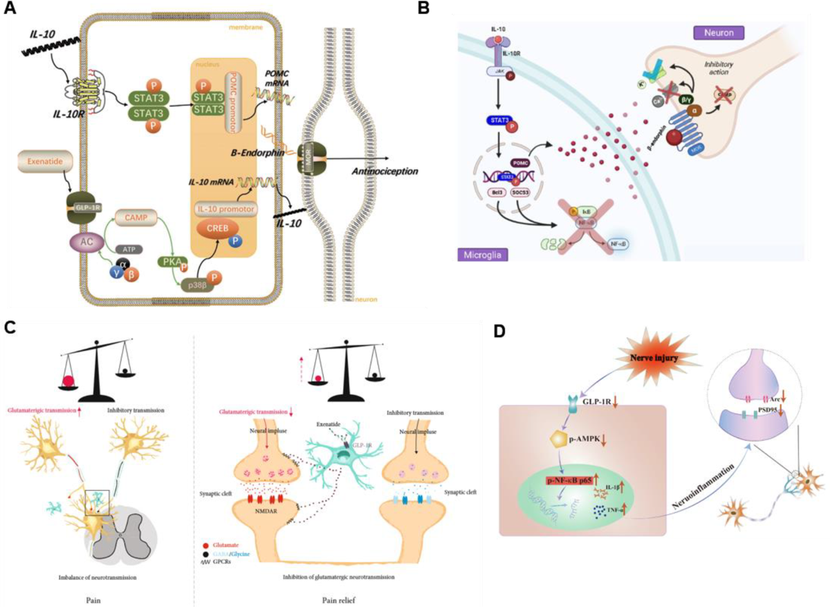 Advances in GLP-1 receptor agonists for pain treatment and their future  potential | The Journal of Headache and Pain