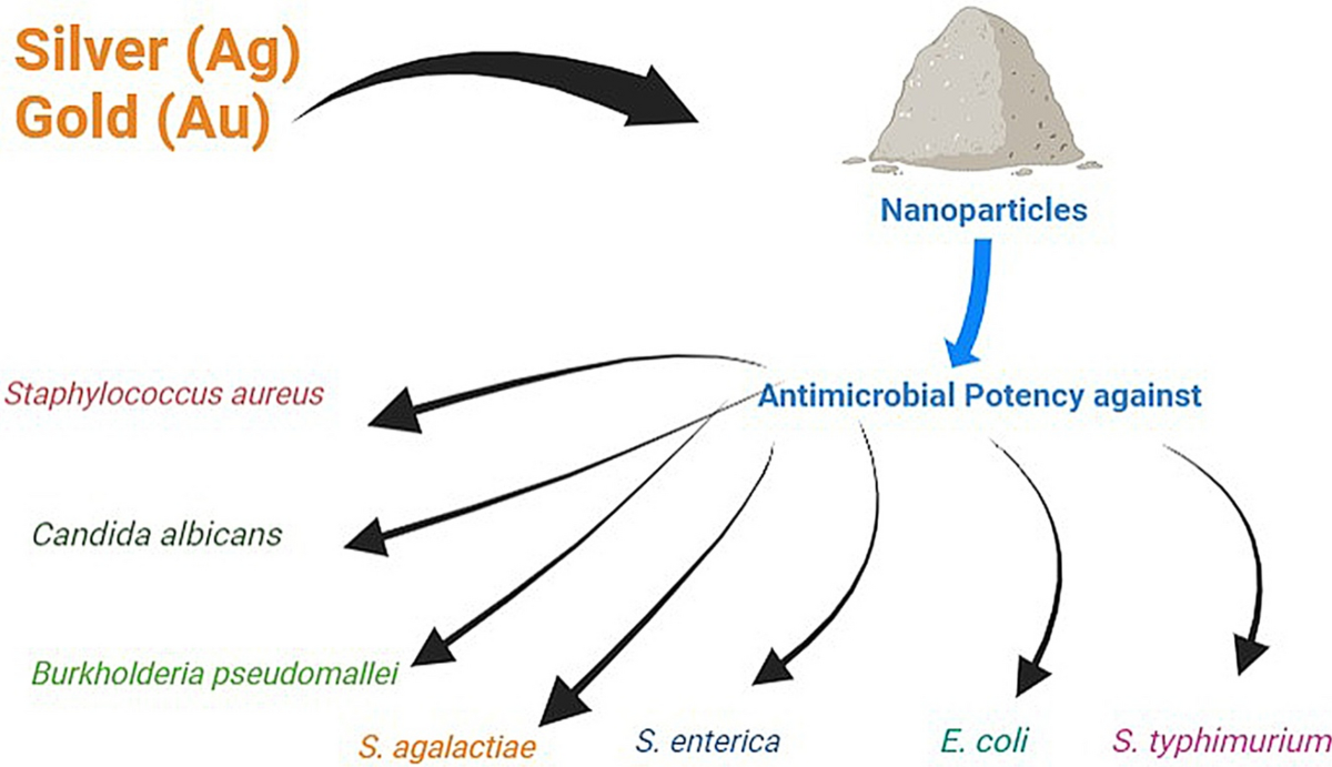 From nature to nanomedicine: bioengineered metallic nanoparticles bridge  the gap for medical applications | Discover Nano | Springer Nature Link