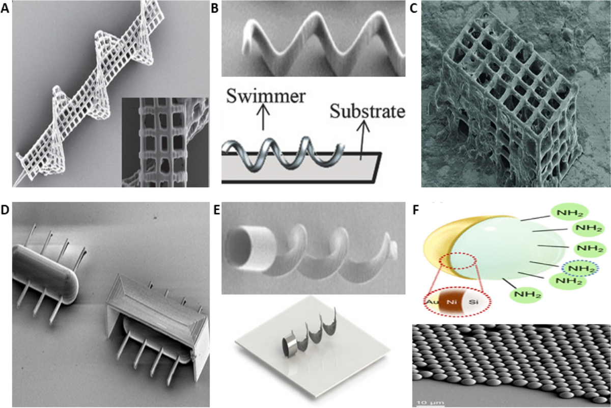 Bio-nano interactions: binding proteins, polysaccharides, lipids and  nucleic acids onto magnetic nanoparticles | Biomaterials Research, image size:1200x801