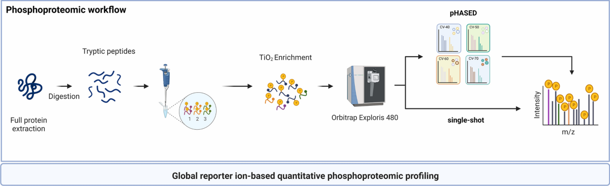 phospho dsip Buy DSIP Ireland from PharmaLabGlobal main image 1