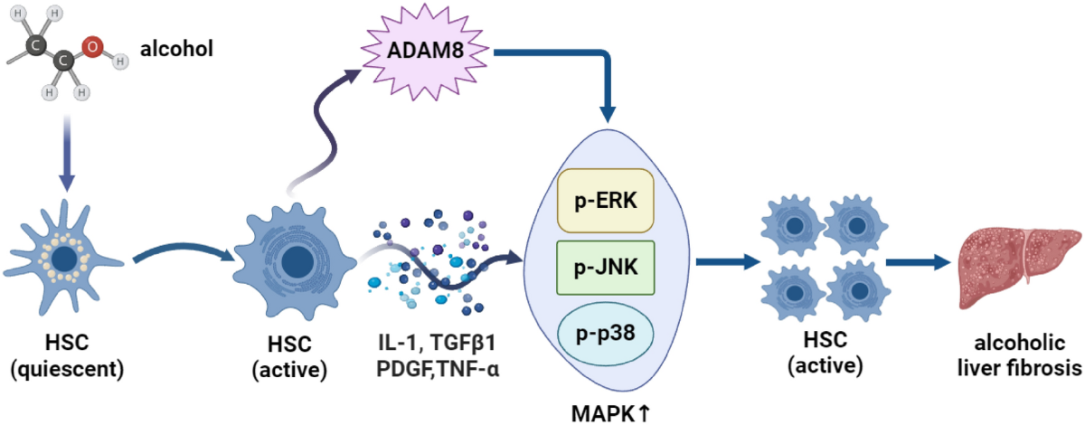 MCC PSCG05AK PM SKHチェーザ AMDK 1-2K (/PSCG05AK/) ＭＣＣ ＰＭ・ＳＫＨチェーザ・ＡＰＴ１\u2015２ PSCG05AK
