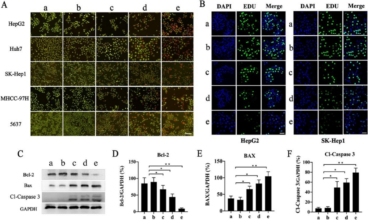 A novel pH- and glutathione-responsive drug delivery system based on in  situ growth of MOF199 on mesoporous organic silica nanoparticles targeting  the hepatocellular carcinoma niche | Cancer Nanotechnology | Springer  Nature Link