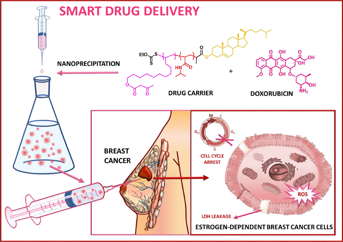 Doxorubicin-loaded polymeric nanoparticles containing ketoester-based block and cholesterol moiety as specific vehicles to fight estrogen-dependent breast cancer | Cancer Nanotechnology
