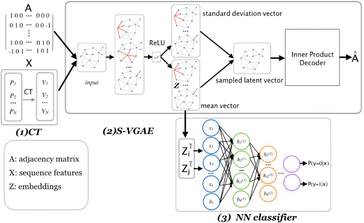 Graph-based prediction of Protein-protein interactions with attributed  signed graph embedding | BMC Bioinformatics | Springer Nature Link
