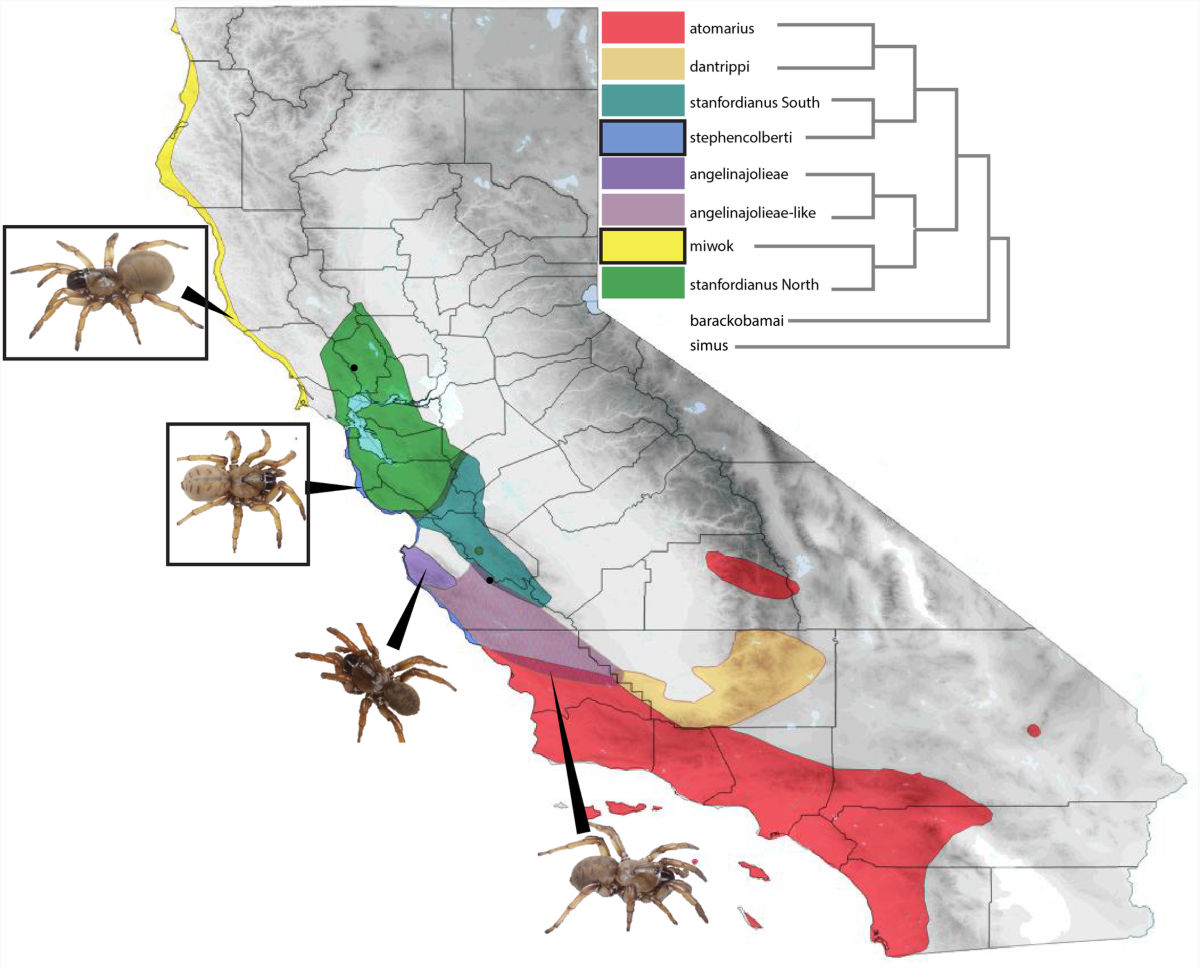 Shifting evolutionary sands: transcriptome characterization of the 