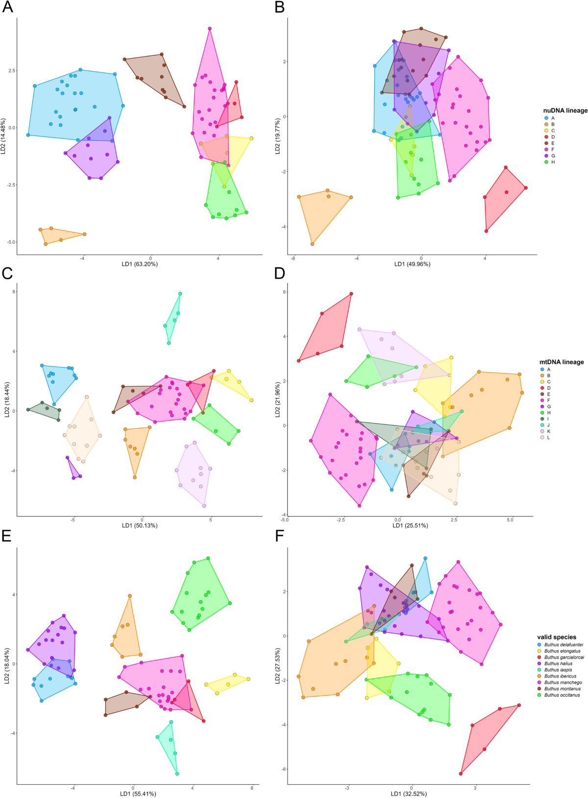 Mito-nuclear discordance reveals introgressive hybridization following  vicariance and secondary contact in Iberian scorpions (Buthidae: Buthus) |  BMC Ecology and Evolution