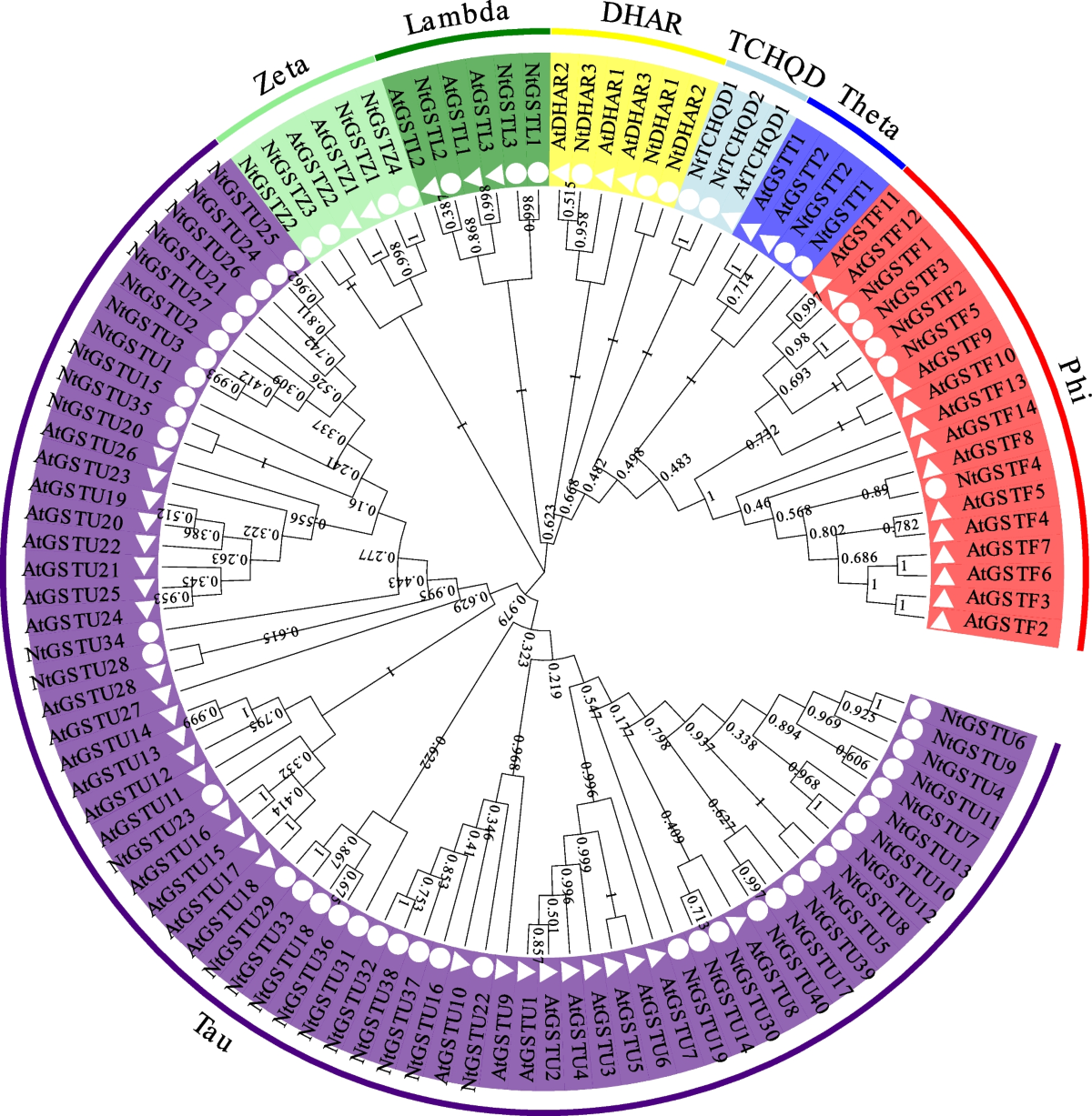 glutathione skin whitening effectiveness research Systematic Review of the Efficacy and Safety of Topical Glutathione in  Dermatology | JCAD